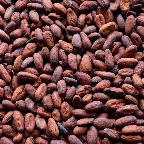 Raw Cashew Nuts